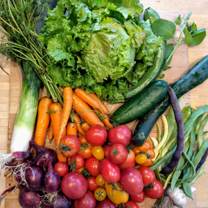 SoLaWi - so funktioniert`s!