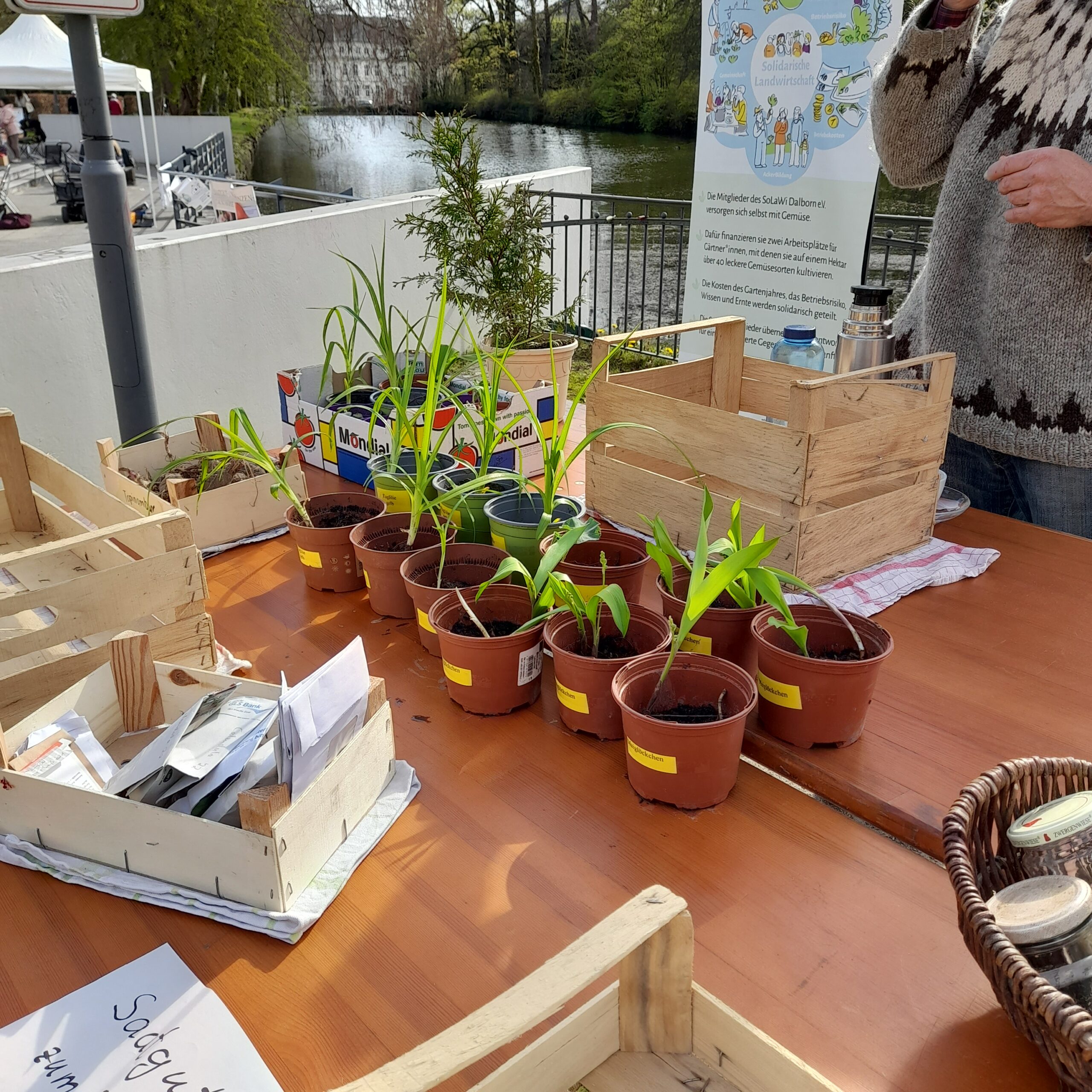 Saatgut- und Pflanzentauschbörse