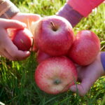 SoLaWiesenkinder