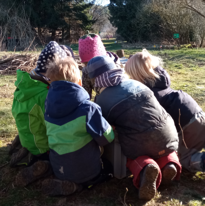 Naturpädagogik im Gemüse-Beet - Weiterbildung