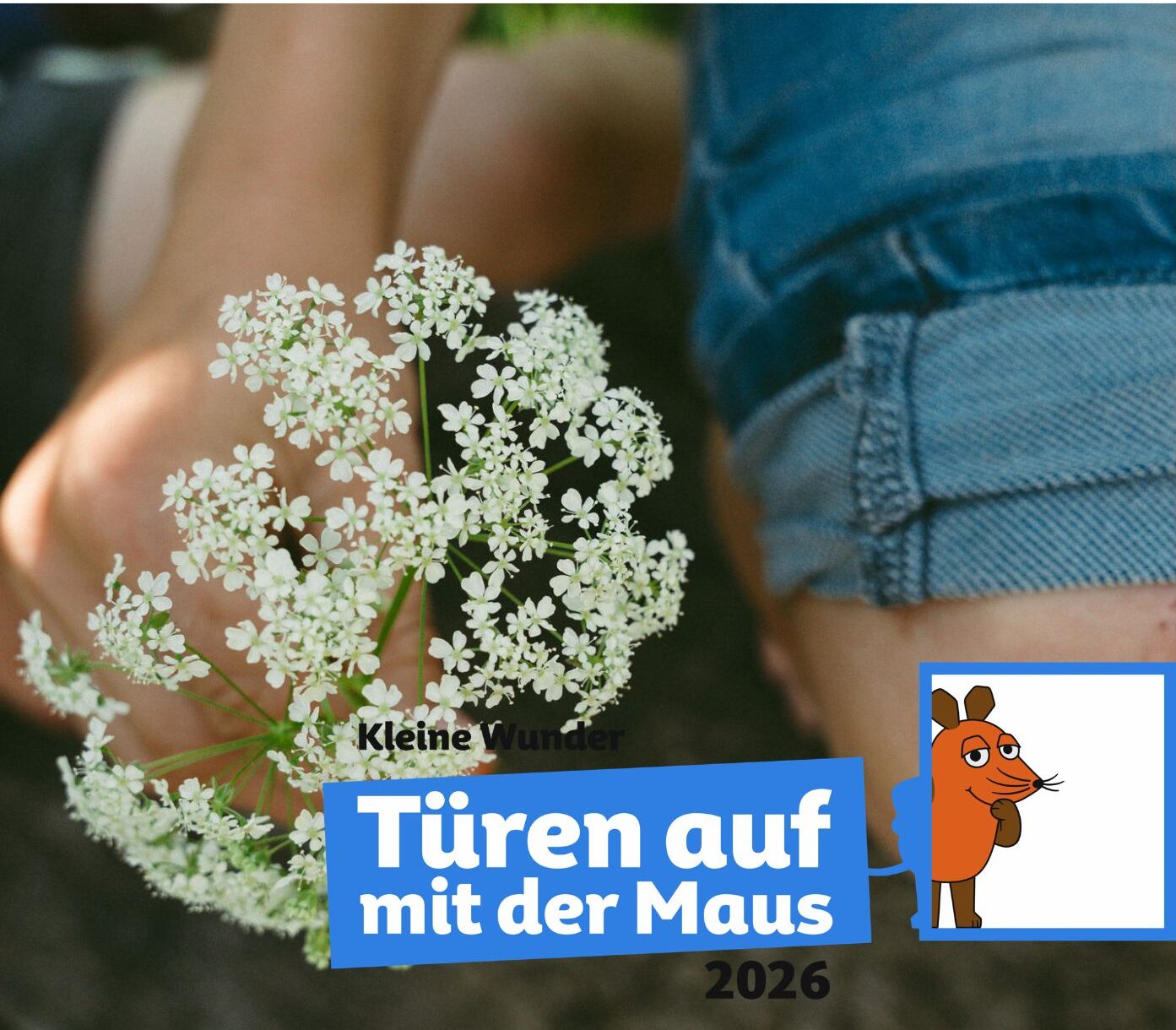Türen auf mit der Maus