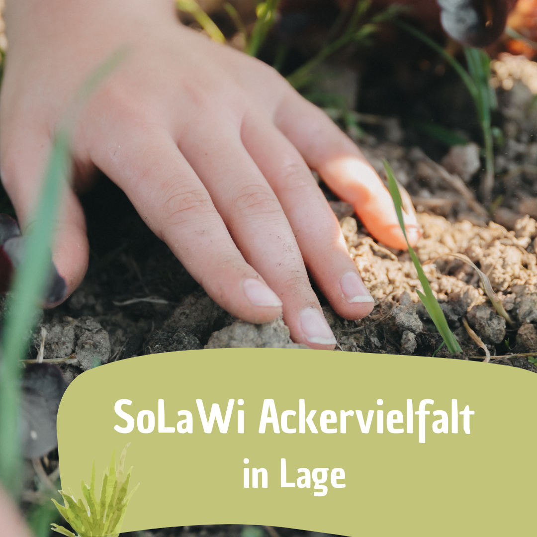 SoLaWiesenkinder