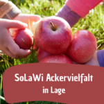 SoLaWiesenkinder