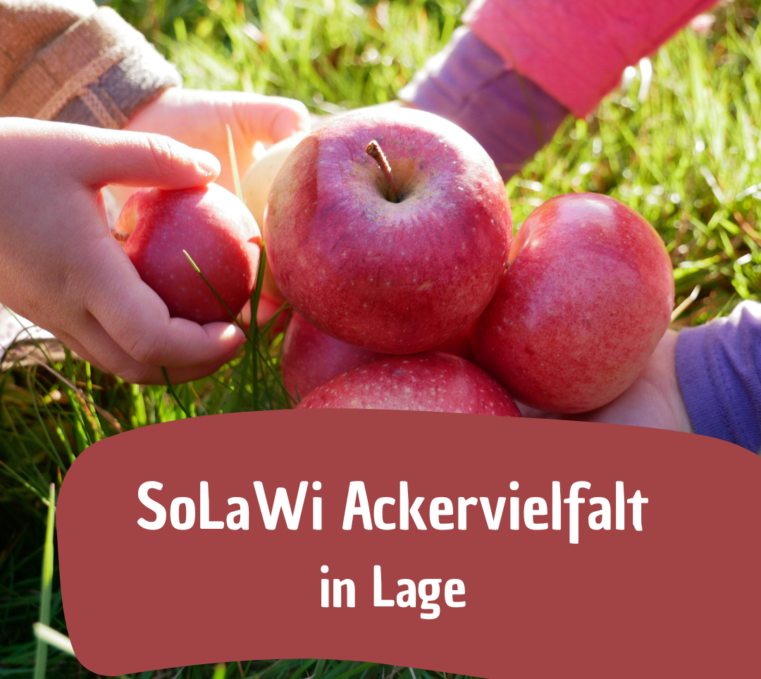 SoLaWiesenkinder