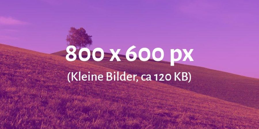 Platzhalter-jan-huber-unsplash-4_2-800×600 Platzhalter-jan-huber-unsplash-4_2-800x600