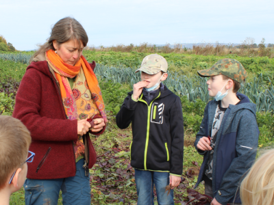 bildungsveranstaltung_ackerkids jahresgruppe rote bete probieren_800