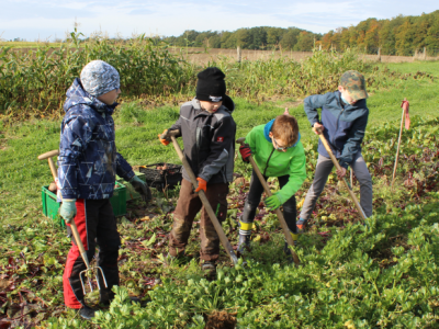 bildungsveranstaltung_ackerkids jahresgruppe sellerie ernte_700