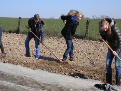 bildungsveranstaltung_jugendliche ackern_700x300